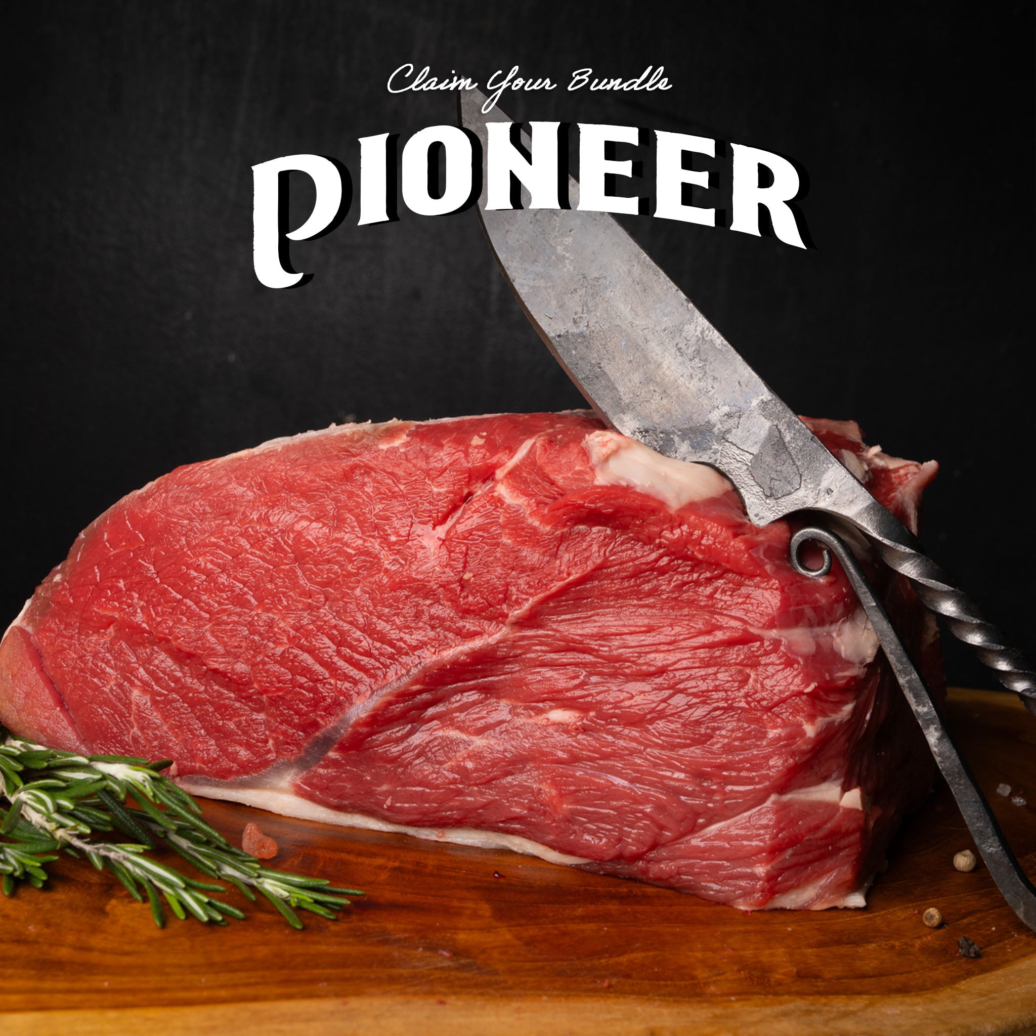 Pioneer Bundle